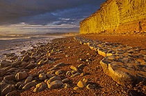 Sandstone Glow, Dorset, by Andrew Jones