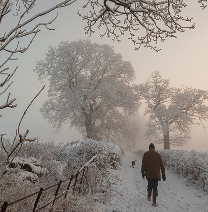 Winter Walker, Hampshire, by Andrew Jones